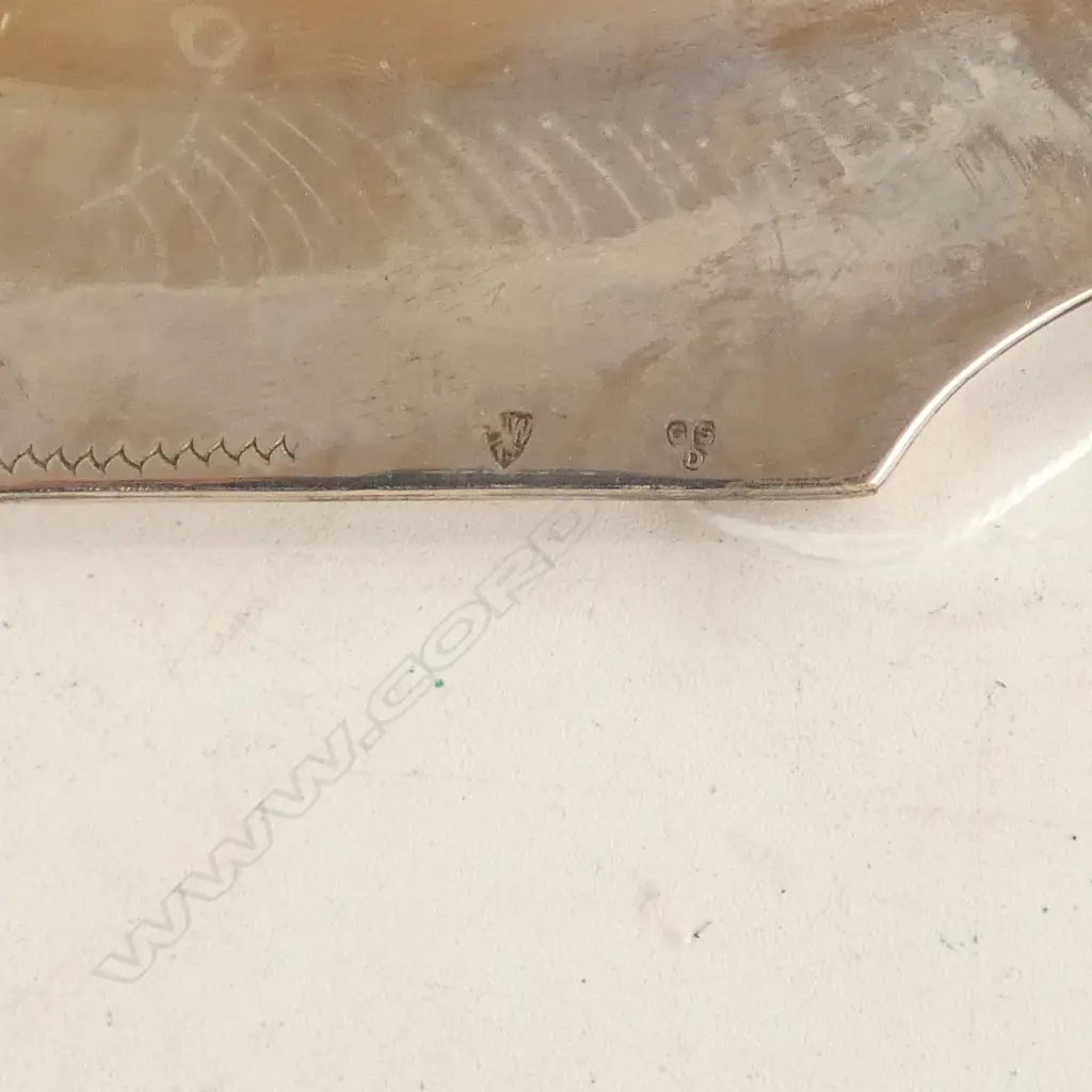 CONTINENTAL SILVER TRAY W.280mm 529gms Image 1++
