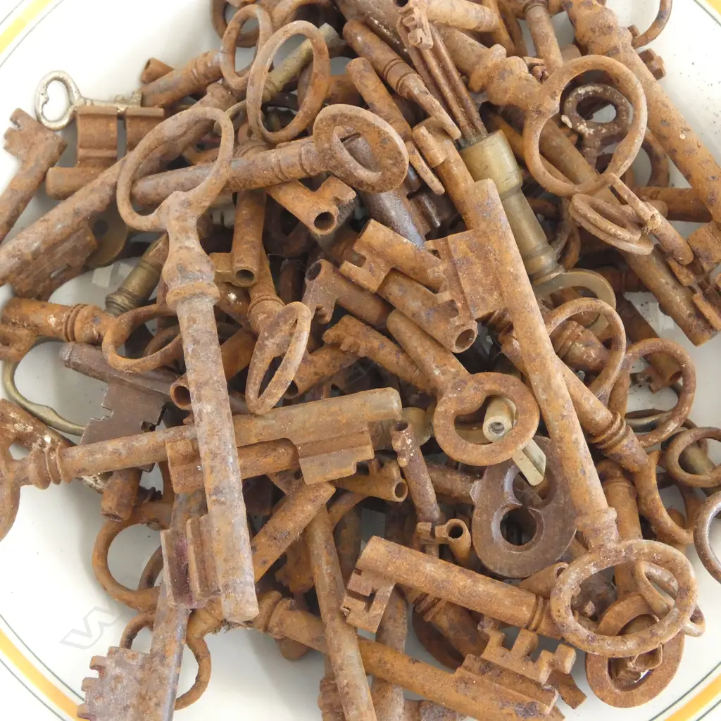 OLD KEYS IN PLATE 'IMPERIAL HOTEL NEW PLYMOUTH' Image 1++