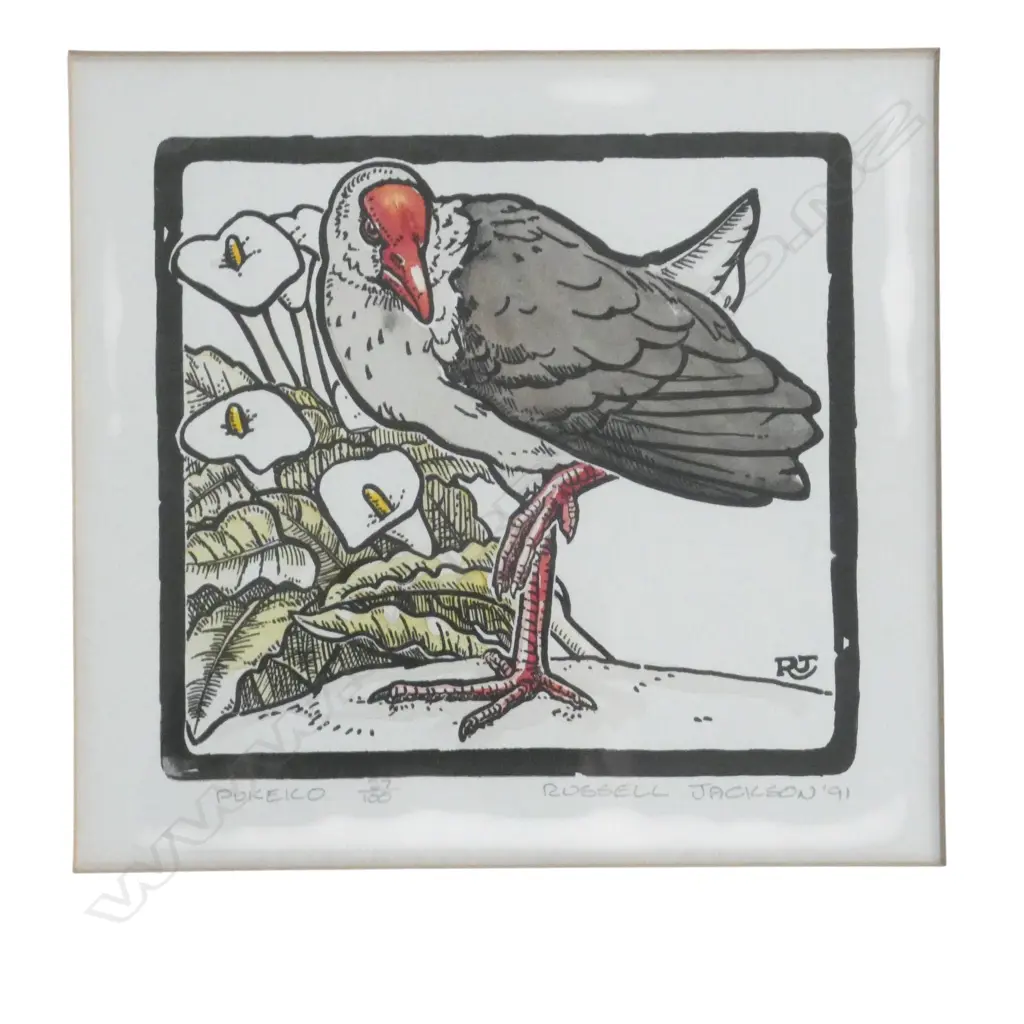 2 RUSSELL JACKSON PRINTS; NZ PARAKEET 13/100, PUKEKO 27/100 190x200mm Image 1++