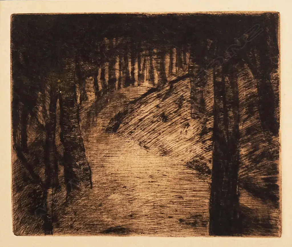 Sam Cairncross (1913-1976) - Pine Trees. Etching. 1951 Image 1++