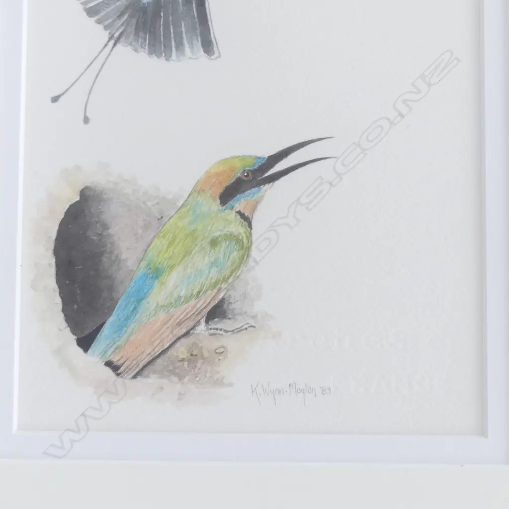 KARENA WYNN-MOYLAN, RANIBOW BEE EATERS, WATERCOLOUR, SIGNED & DATED VERSO 1989, 280x160mm Image 1++