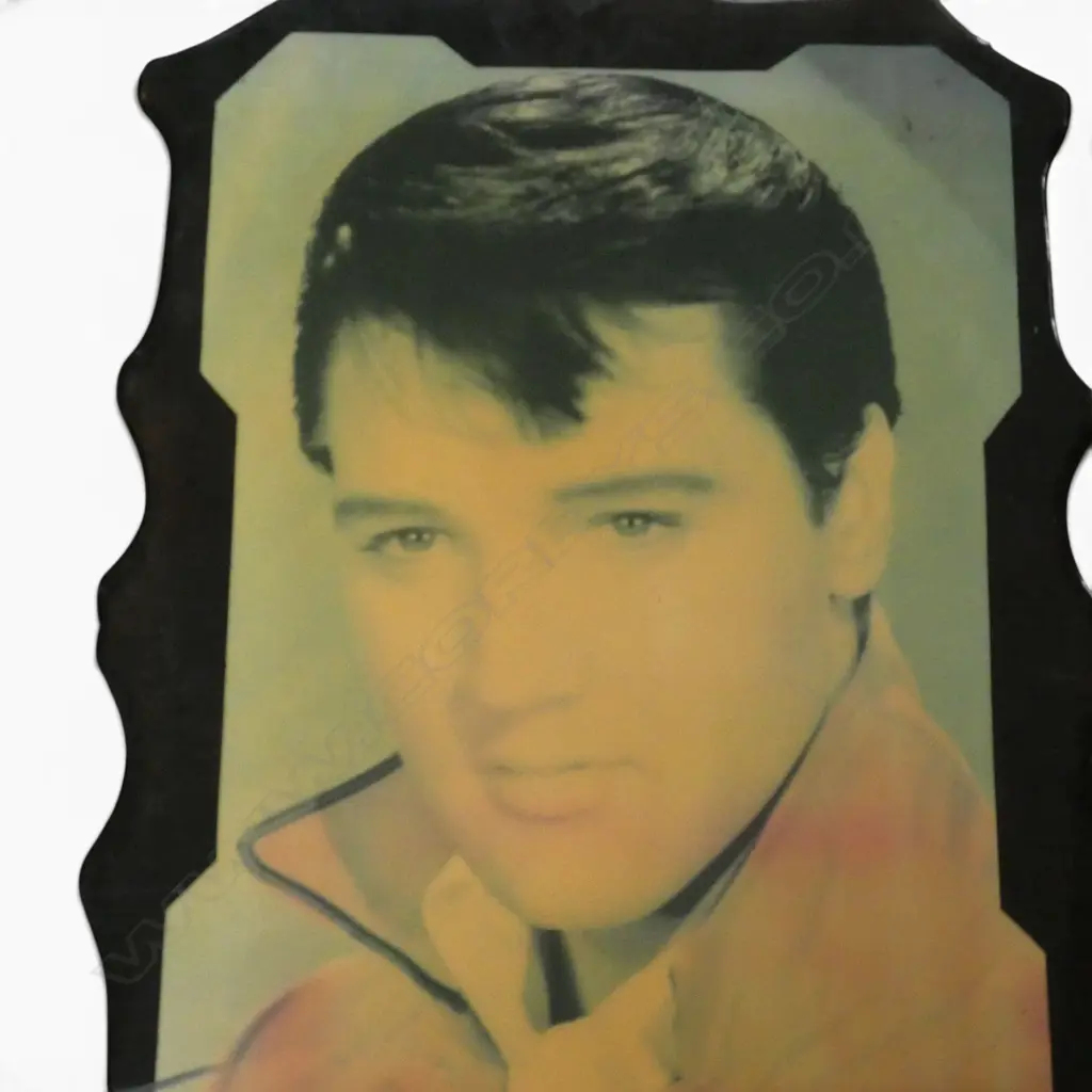 ELVIS ARTWORK 900x75mm Image 1++