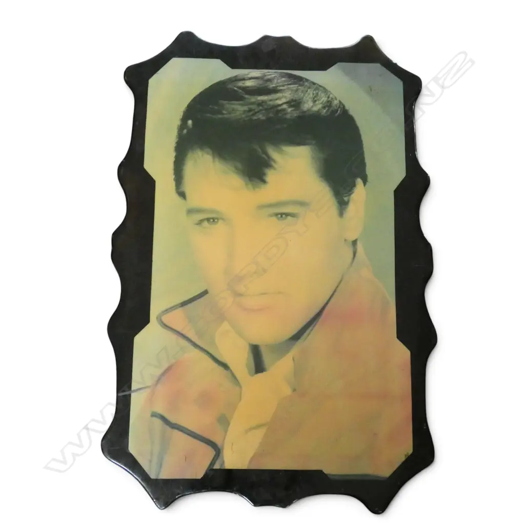 ELVIS ARTWORK 900x75mm Image 1++