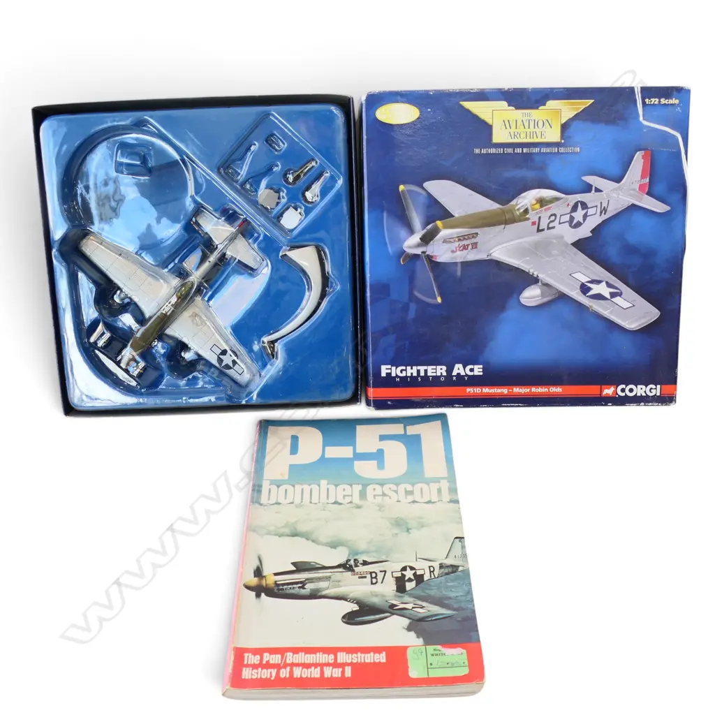 DIE CAST 1:72 SCALE MODEL OF A MUSTANG P51 FIGHTER w. BOOK ON AIRCRAFT Image 1++