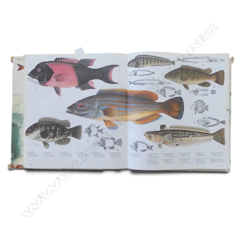 THE LORE OF SPORTFISHING by TRE TRYCKARE, E. CAGNER & FRANK T. MOSS Image 1++