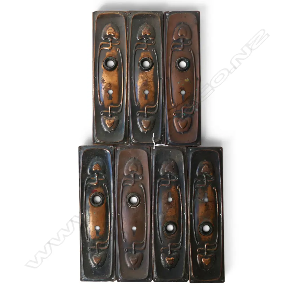 7 ART NOUVEAU DOOR FITTINGS 270x70mm Image 1++