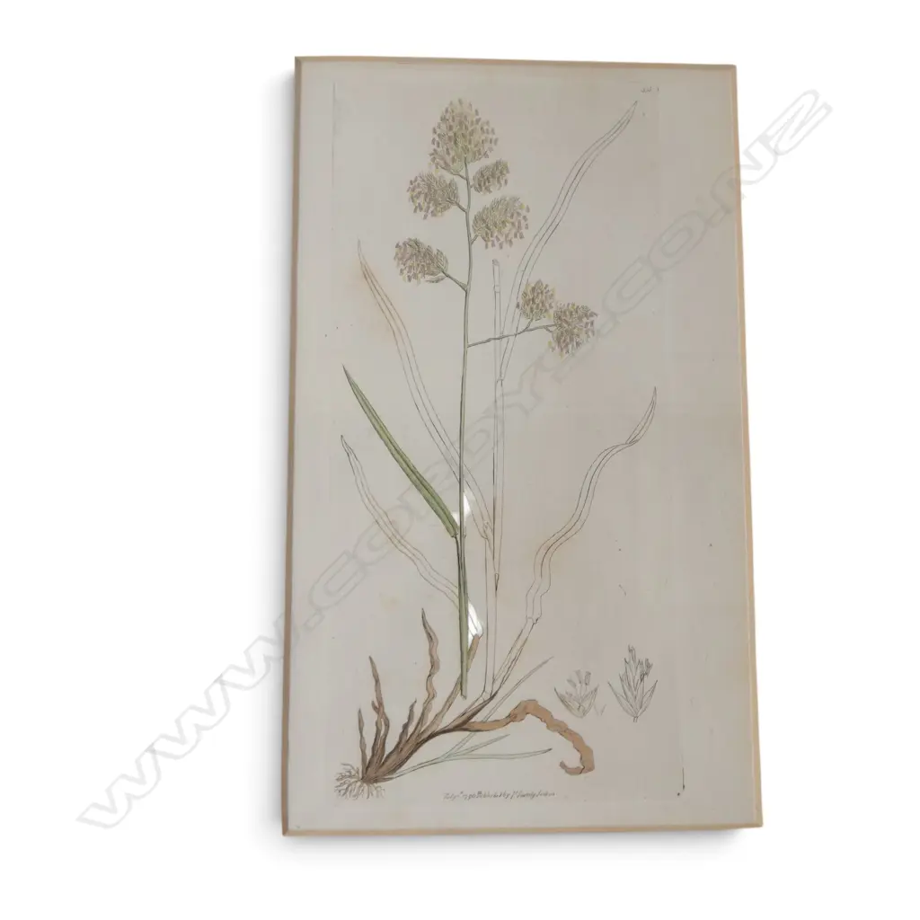 MODERN CANVAS PICNIC BASKET, WOODEN TRAY W.560mm, 4 BOTANICAL PRINTS, CARVING CUTLERY, CUFFLINKS ETC Image 1++