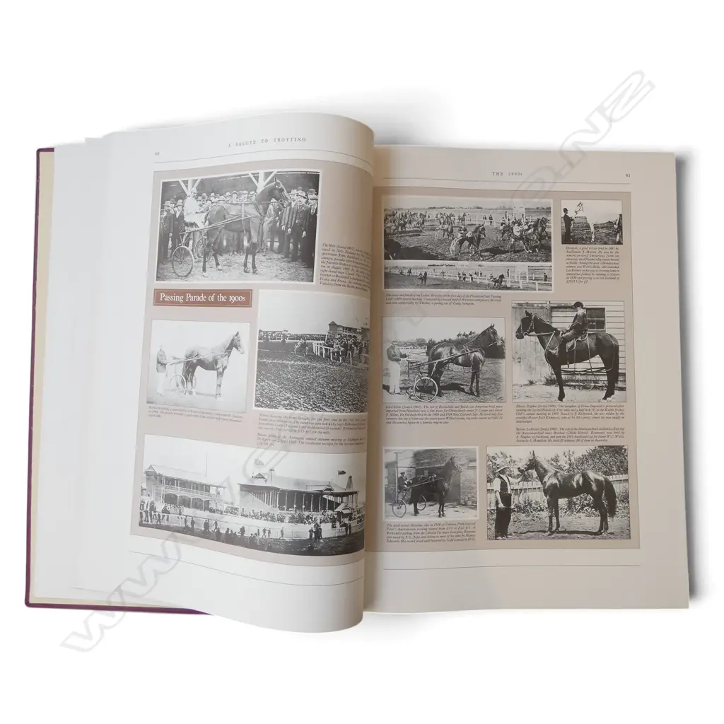 A SALUTE TO TROTTING - A HISTORY OF HARNESS RACING IN NEW ZEALAND by RON BISMAN Image 1++