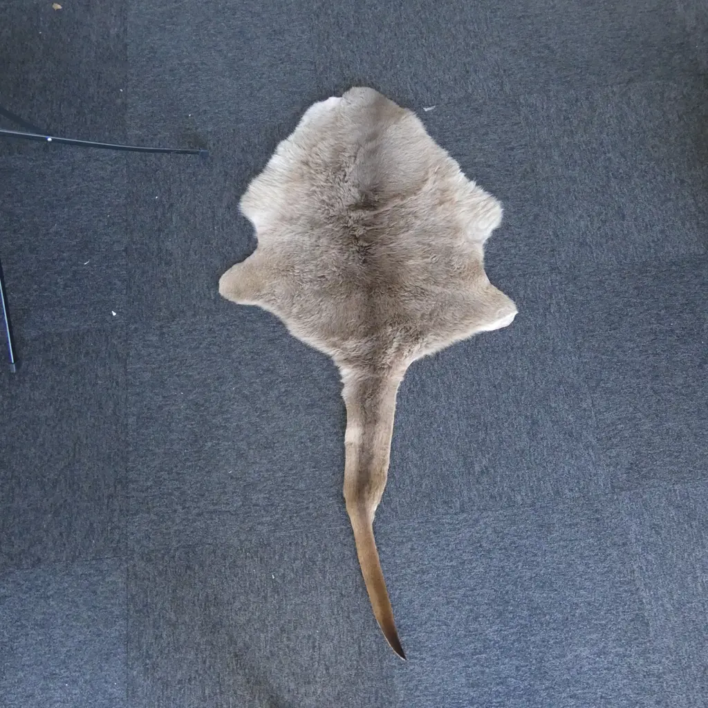 WALLABY HIDE L.1350mm Image 1++
