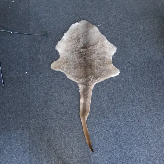WALLABY HIDE L.1350mm