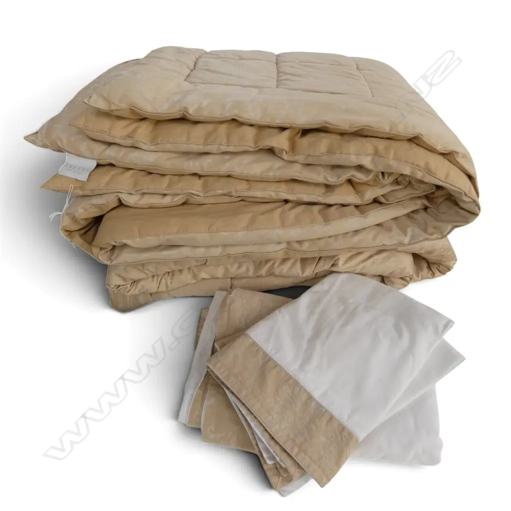 FRETTE ITALIAN BED LINEN SET; COMFORTER,  2 PILLOW CASES, Q/K SHEET ETC COMFORTER largest 2500 x 2560 mm Image 1++
