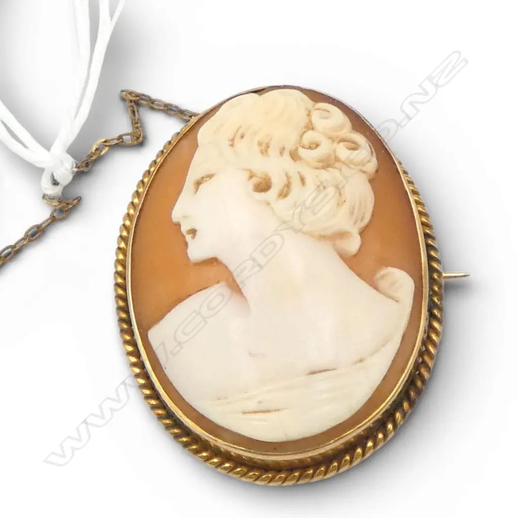 9ct gold framed vintage cameo brooch. 8.27gm Image 1++