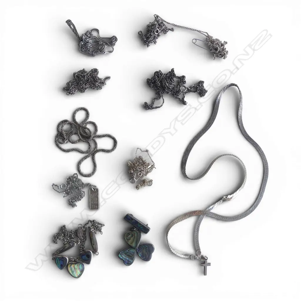 BAG SILVER CHAINS + SILVER & PAUA NECKLACE + BROOCH ETC Image 1++