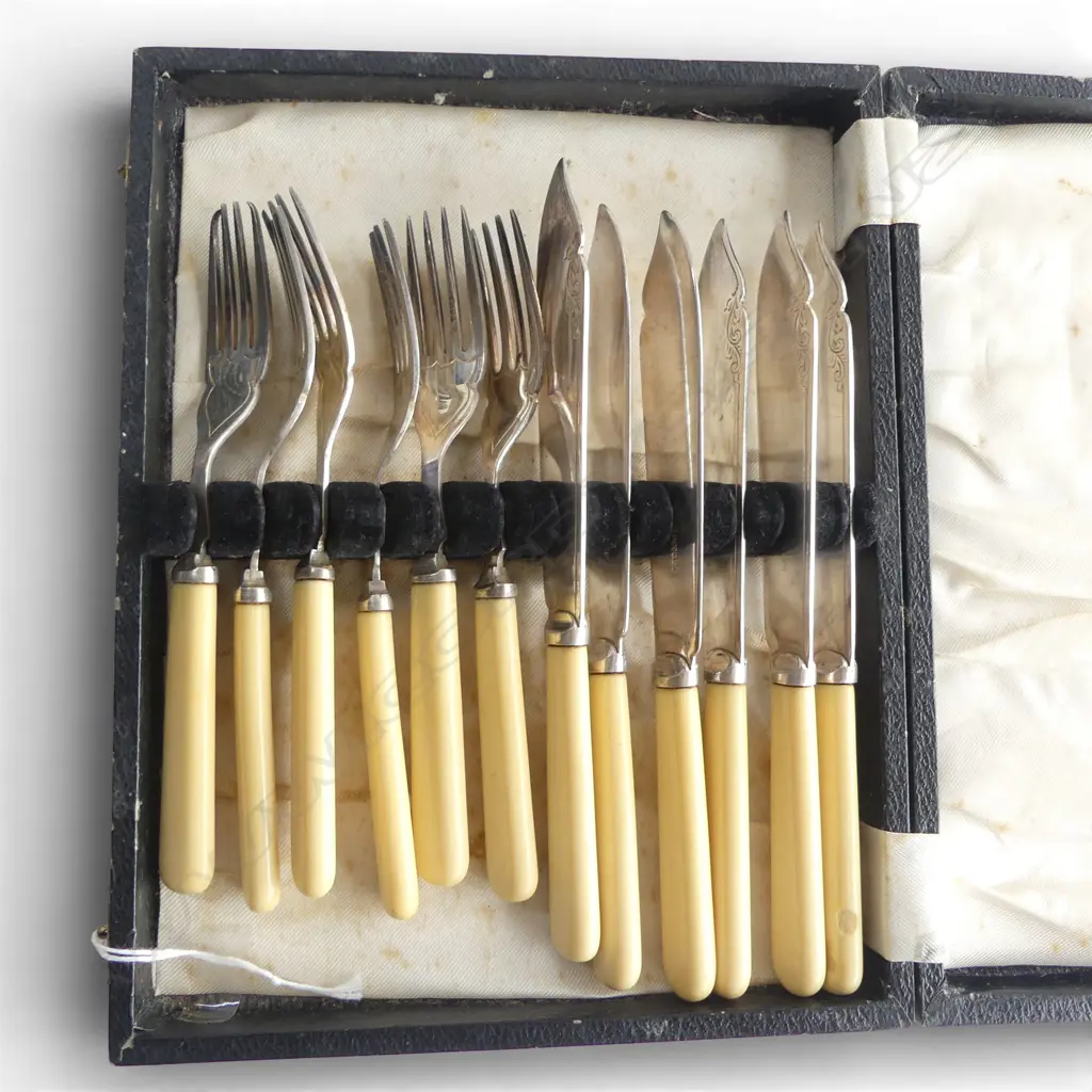 CASED 6 PLACE IVORINE 'BONE' CUTLERY SET w. stg silver presentation plaque Image 1++