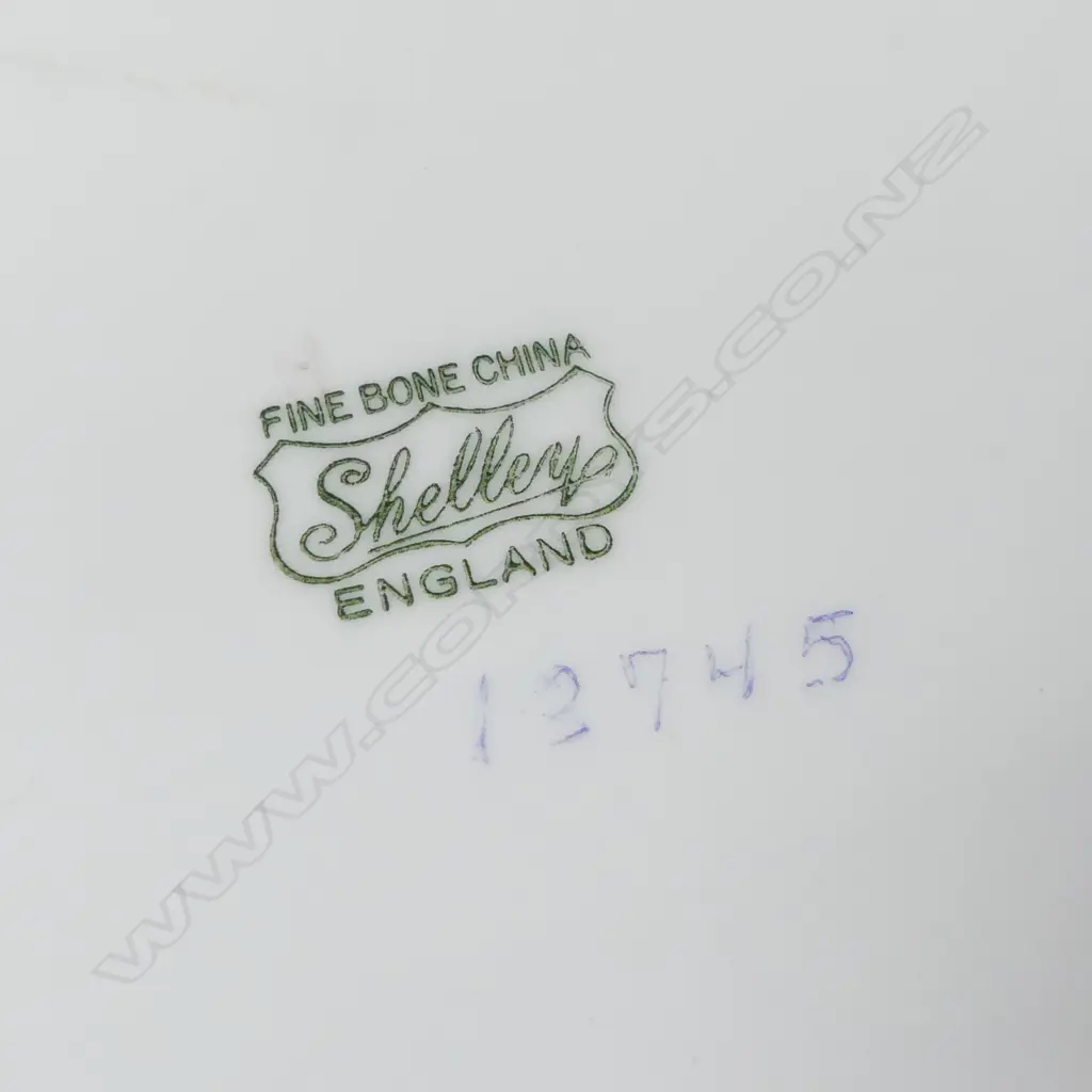 10 SHELLEY CHINA C/SS MIXED PATS Image 1++