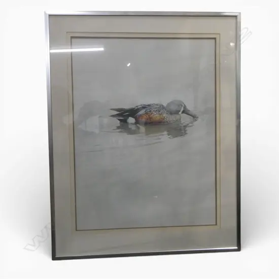 RAYMOND CHING DUCK PRINT 640x480mm