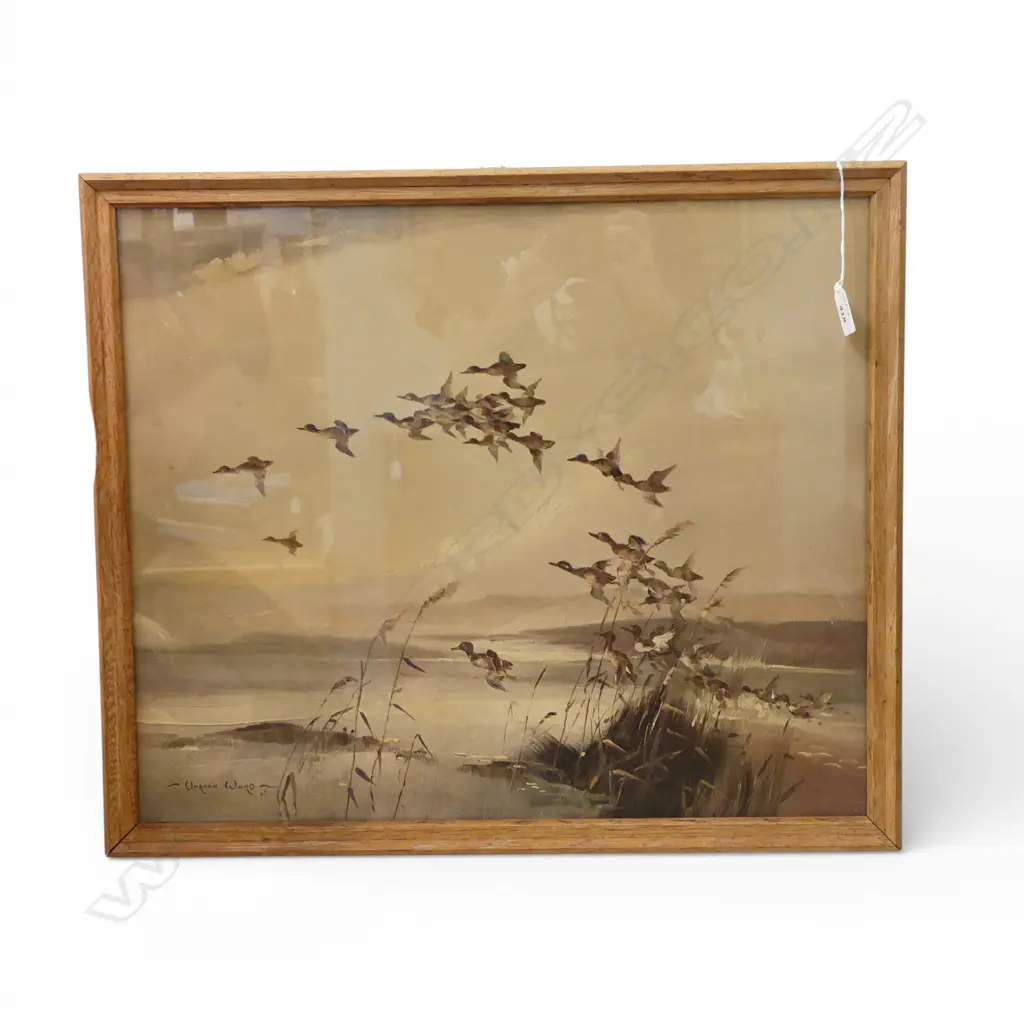 VERNON WARD, DUCKS IN FLIGHT, REPRO PRINT, 580x445mm Image 1++
