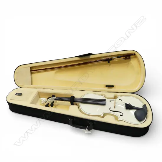 WHITE VIOLIN IN CASE