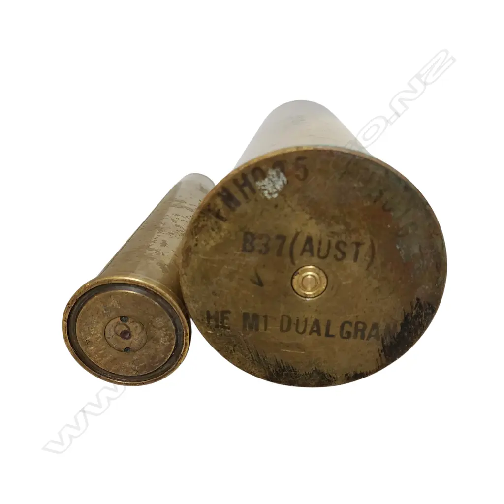 PAIR OF BRASS SHELLS (370x110mm) Image 1++