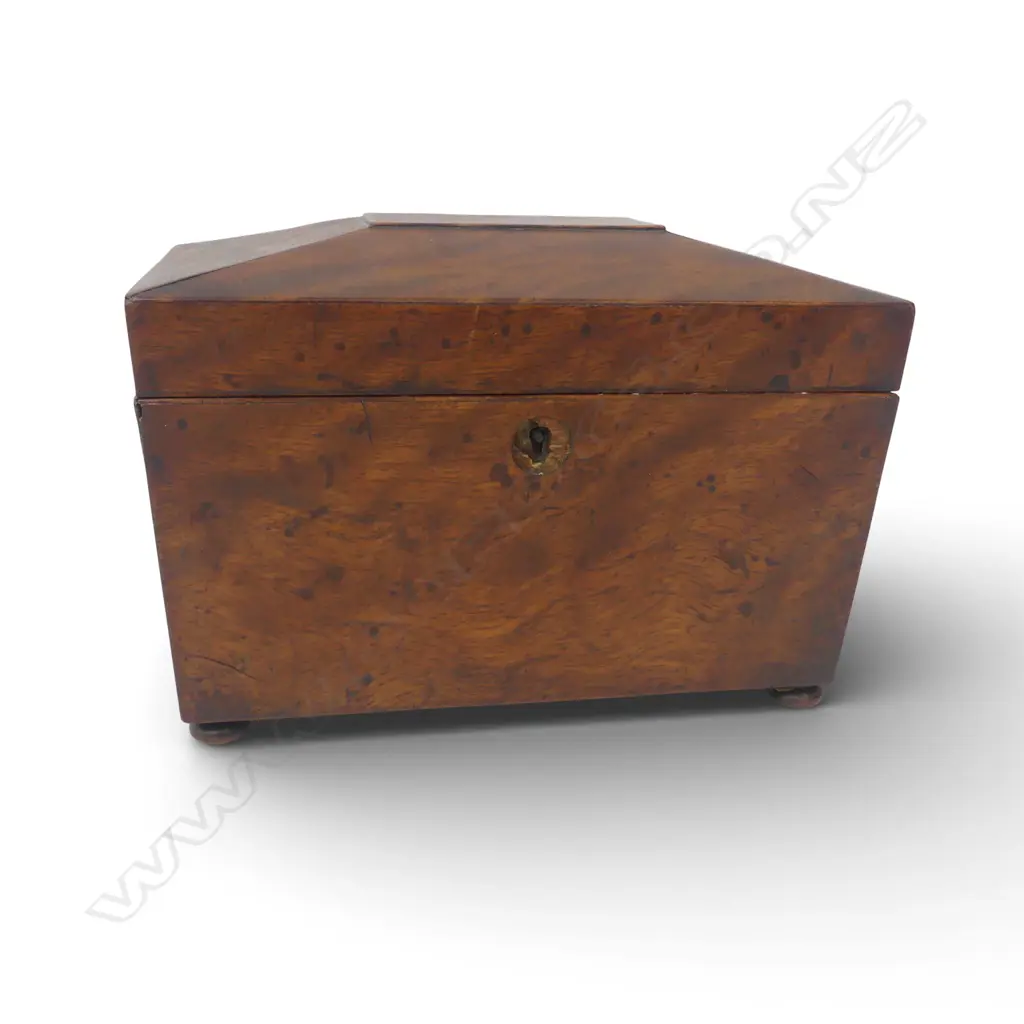 ANTIQUE MAHOGANY SARCOPHAGUS SHAPE TEA CADDY with two lidded & fitted compartments, escutcheon missing W.210mm Image 1++