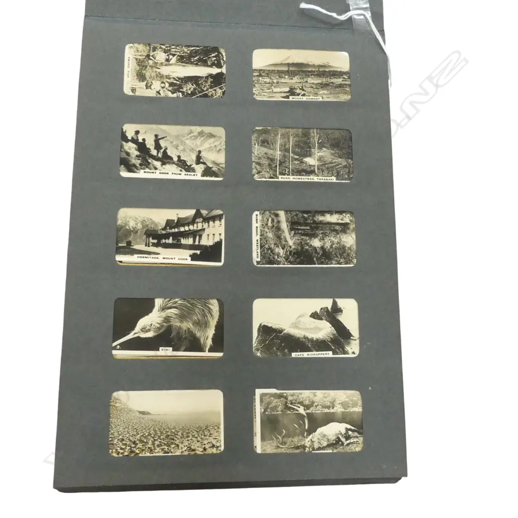 CIG. CARD PICTURE ALBUM: ALL BLACKS (rare) + EARLY 20thC N.Z., MOTOR VEHICLES, CRICKET etc Image 1++