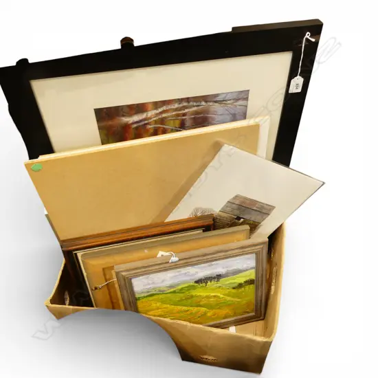 SEVEN PAINTINGS BY ELAINE KING (VARIOUS SUBJECTS AND SIZES) PLUS ONE LANDSCAPE BY PATRICK WHITE 