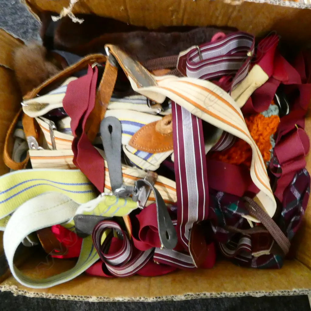 ASST. CUMMERBUNDS, BRACES ETC Image 1++