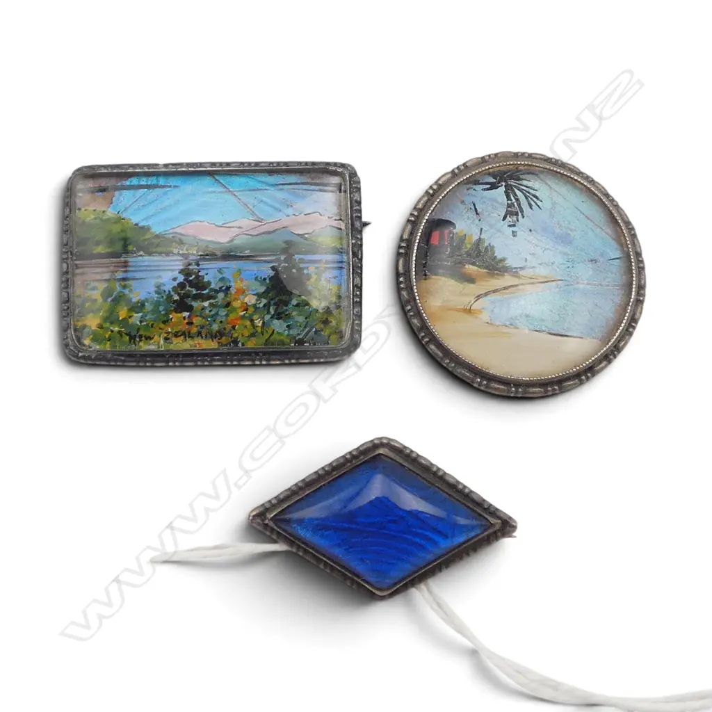 3 S/SILVER & BUTTERFLY WING BROOCHES 1NZ SCENE Image 1++