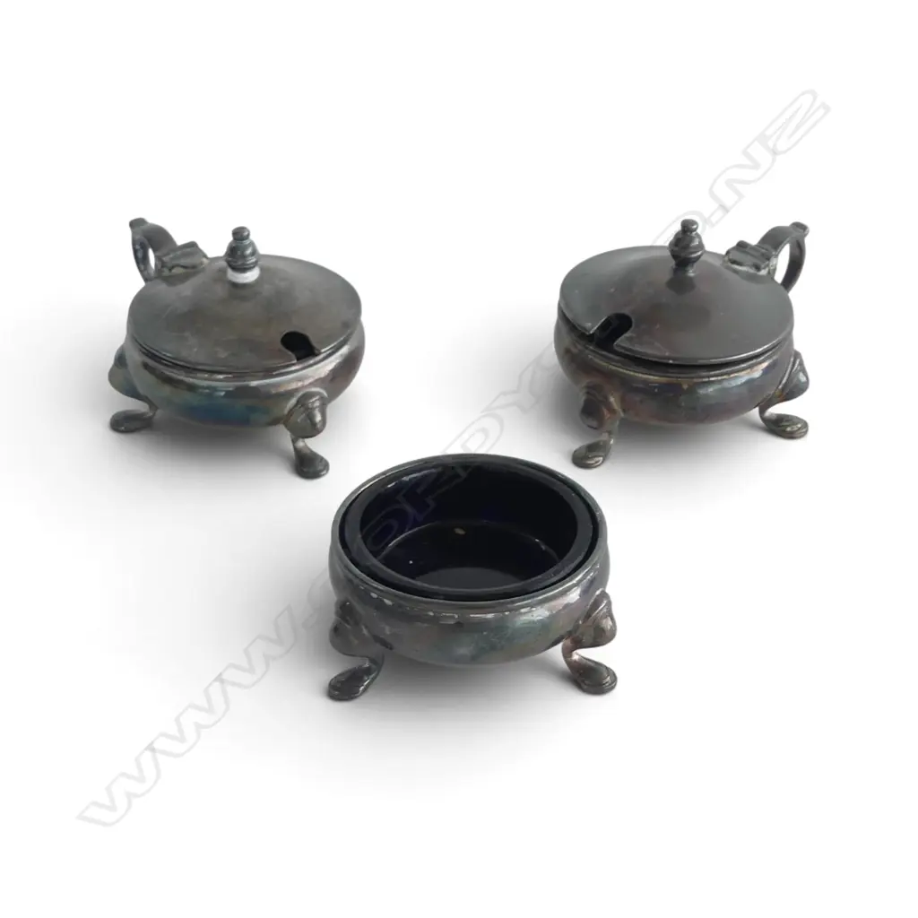 PR STG SILVER MUSTARD POTS & SALT 156gms Image 1++