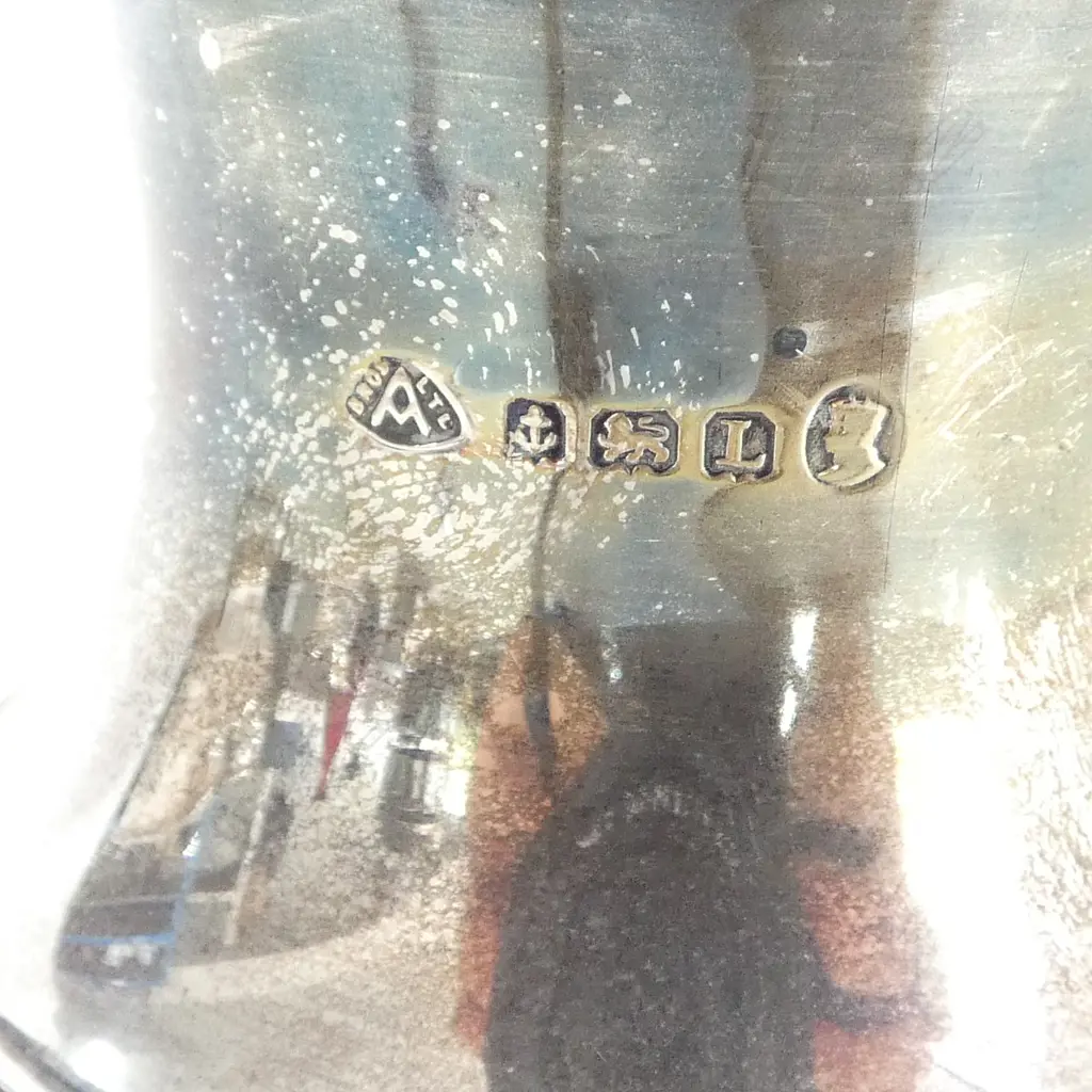S/SILVER SUGAR CASTER 218.7GMS Image 1++