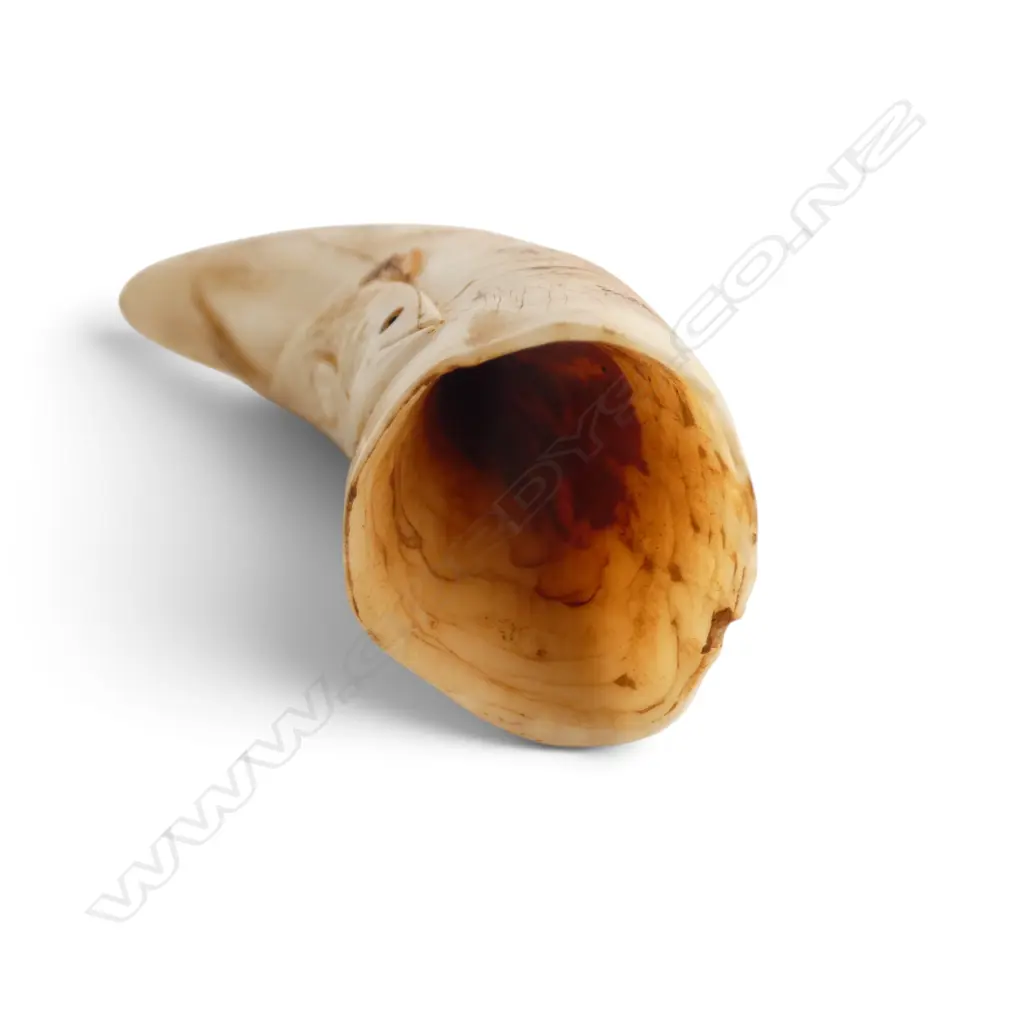 CARVED MARINE IVORY TOOTH L.100mm  Image 1++
