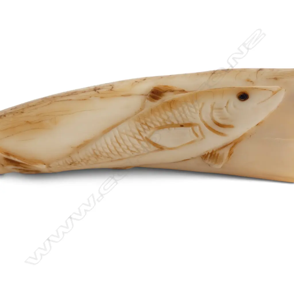 CARVED MARINE IVORY TOOTH L.100mm  Image 1++