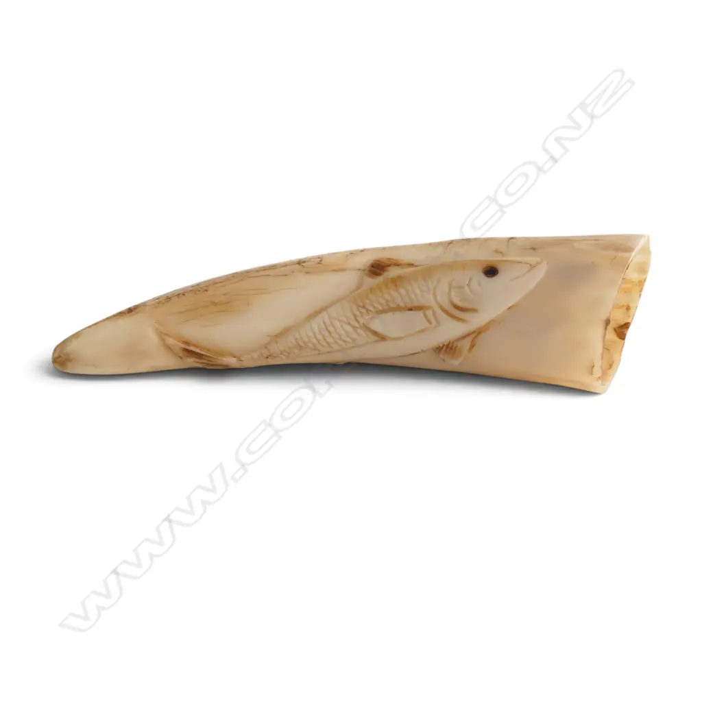 CARVED MARINE IVORY TOOTH L.100mm  Image 1++