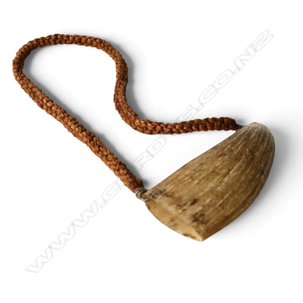 ANTIQUE TABUA with coconut fibre cord L.150mm Image 1++