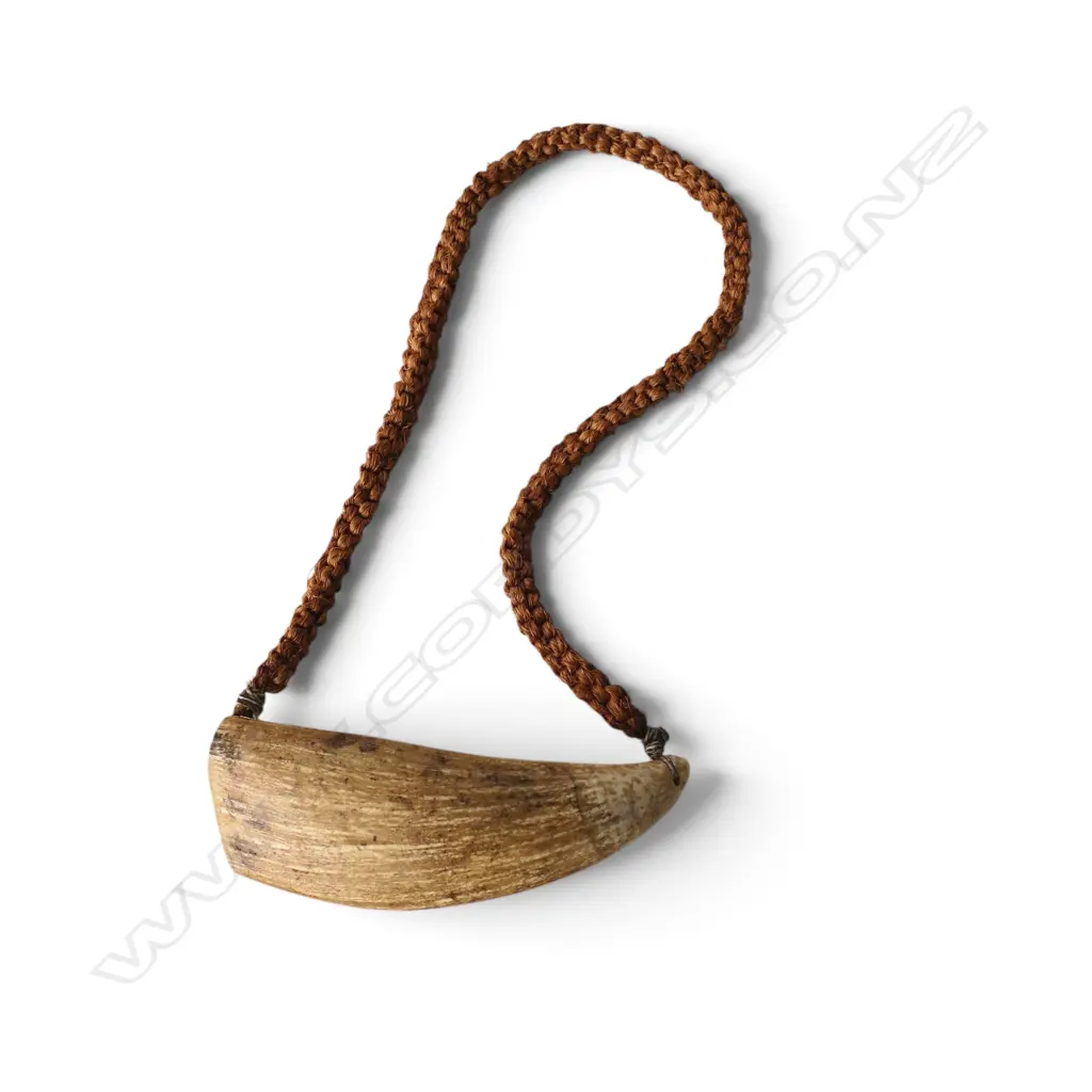 ANTIQUE TABUA with coconut fibre cord L.150mm Image 1++