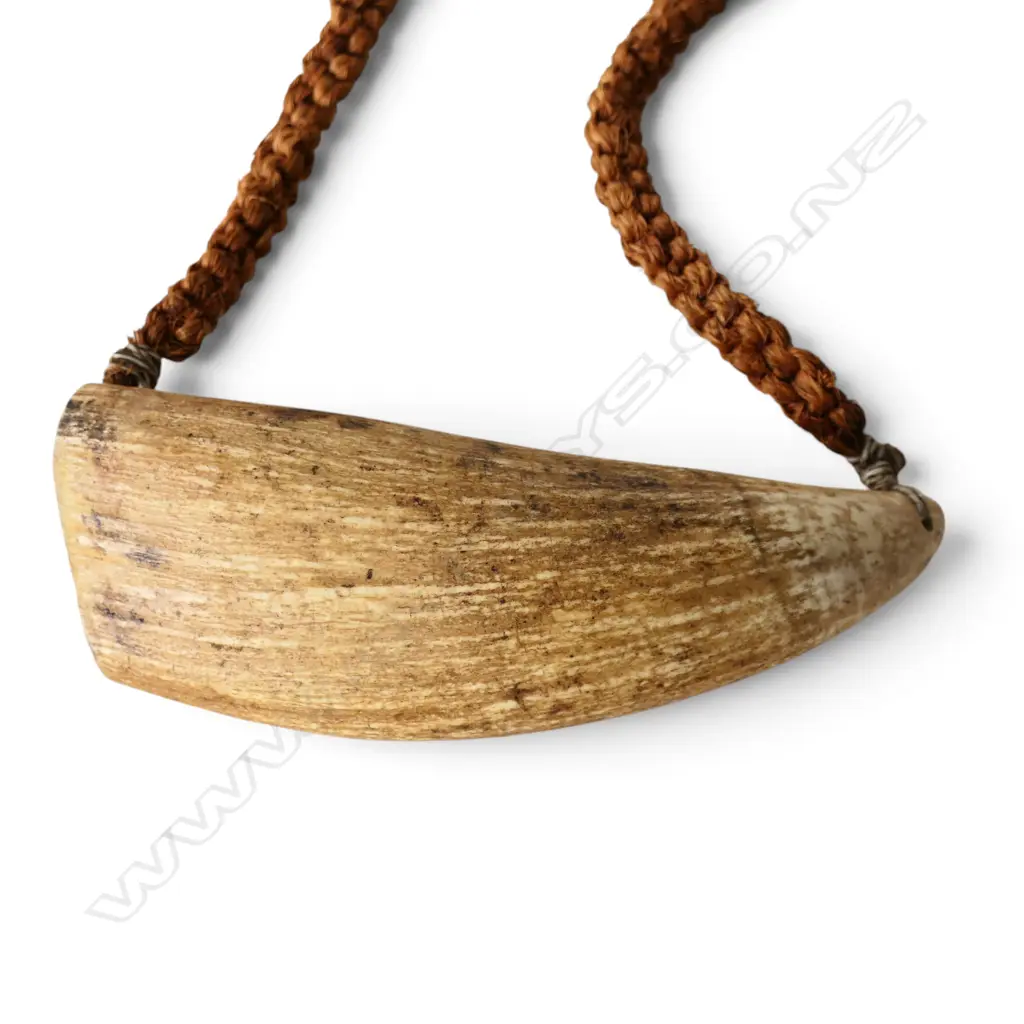 ANTIQUE TABUA with coconut fibre cord L.150mm Image 1++