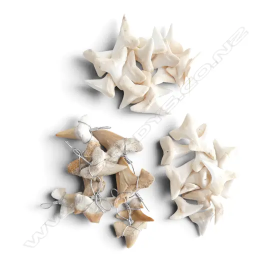 2 BAG LOTS OF SHARKS TEETH & BAG OF FOSSIL SHARK TEETH