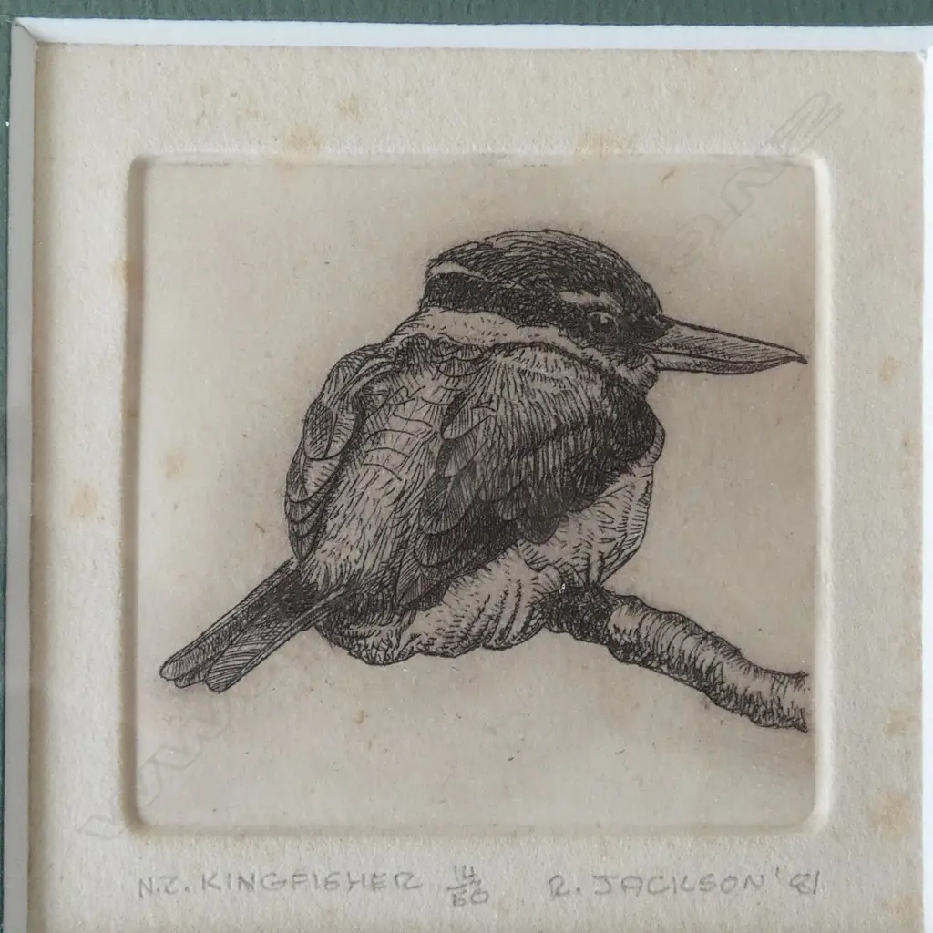 2 RUSSELL JACKSON SIGNED PRINTS, N.Z. KINGFISHER 14/50 & N.Z. STAG BEETLE 8/50, SIGNED & DATED '81, 65x65mm Image 1++