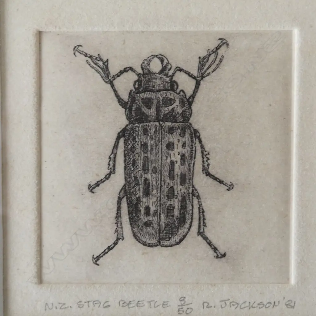 2 RUSSELL JACKSON SIGNED PRINTS, N.Z. KINGFISHER 14/50 & N.Z. STAG BEETLE 8/50, SIGNED & DATED '81, 65x65mm Image 1++