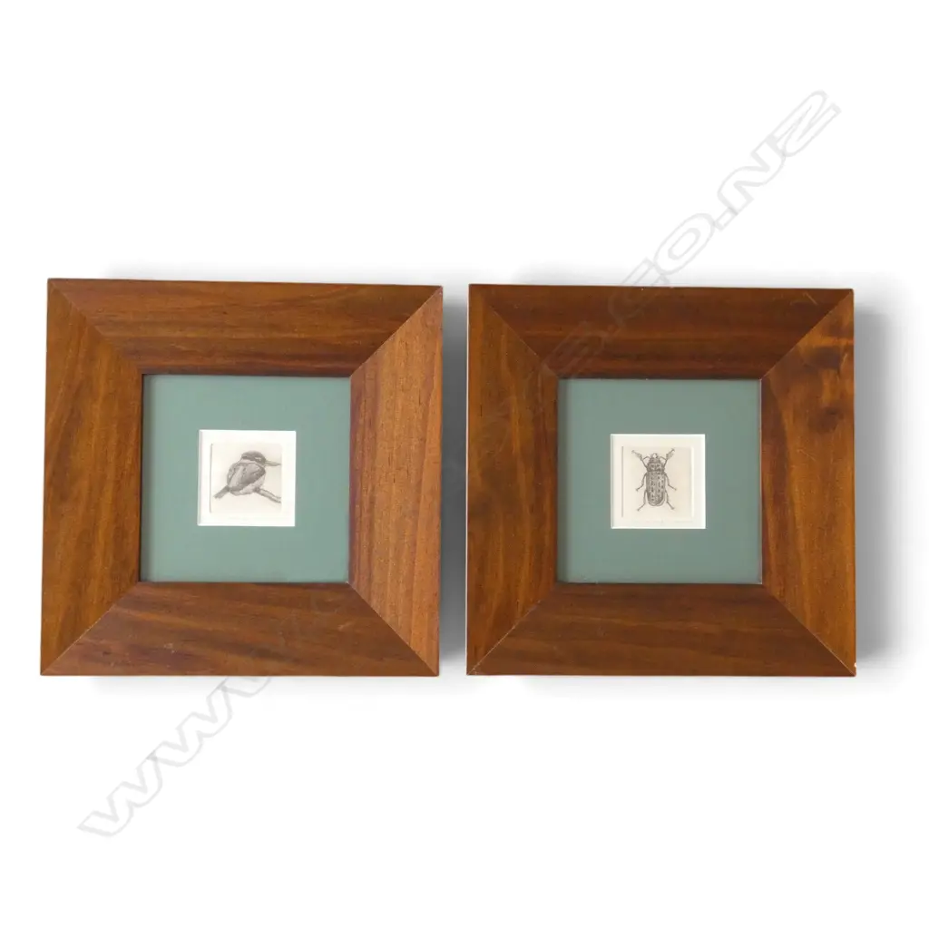 2 RUSSELL JACKSON SIGNED PRINTS, N.Z. KINGFISHER 14/50 & N.Z. STAG BEETLE 8/50, SIGNED & DATED '81, 65x65mm Image 1++
