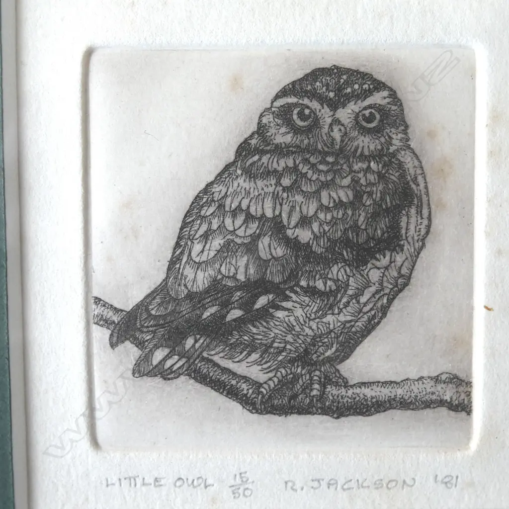 2 RUSSELL JACKSON SIGNED PRINTS, N.Z. MOREPORK OWL 19/50 & LITTLE OWL 15/30, SIGNED & DATED '81, 65x65mm Image 1++