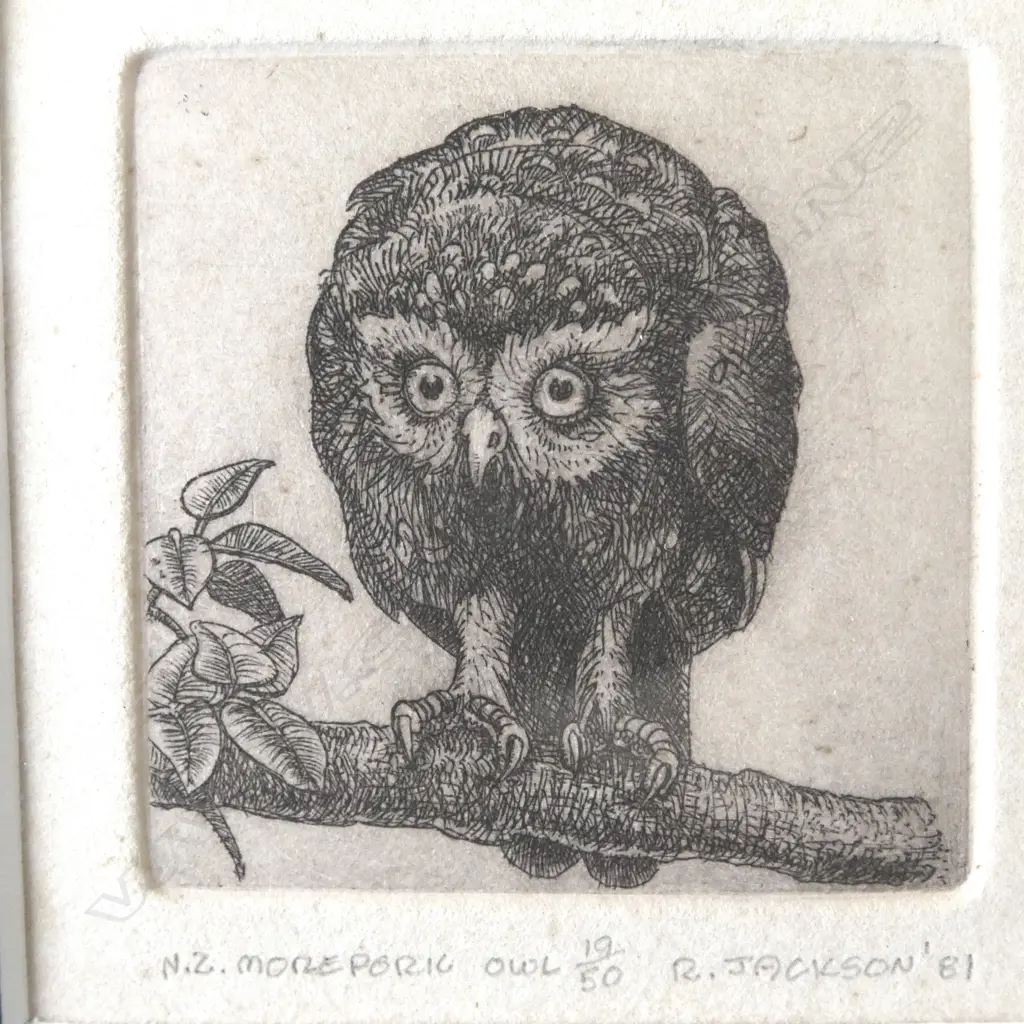 2 RUSSELL JACKSON SIGNED PRINTS, N.Z. MOREPORK OWL 19/50 & LITTLE OWL 15/30, SIGNED & DATED '81, 65x65mm Image 1++