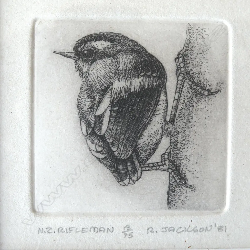 2 RUSSELL JACKSON SIGNED PRINTS, N.Z. RIFLEMAN 13/75 & N.Z. RIFLEMAN 23/50, SIGNED & DATED '81, 65x65mm Image 1++