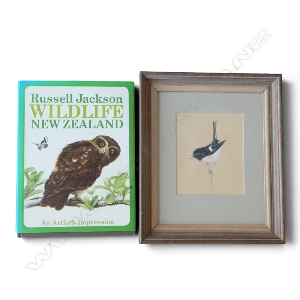 RUSSELL JACKSON, NEW ZEALAND TIT, WATERCOLOUR, SIGNED & DATED 1974 160x135mm + WILDLIFE NEW ZEALAND BOOK Image 1++