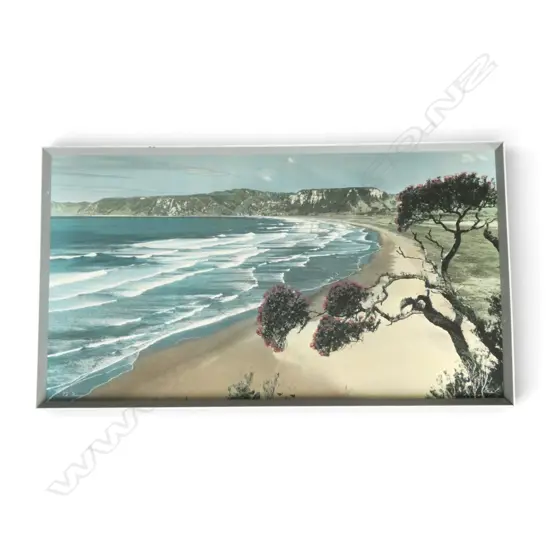 WHITES AVIATION 'TE ARAROA' 545x1000mm