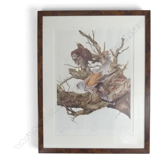 RAYMOND CHING, KESTRELS, SIGNED PRINT, Ed. 530/850, 690x505mm
