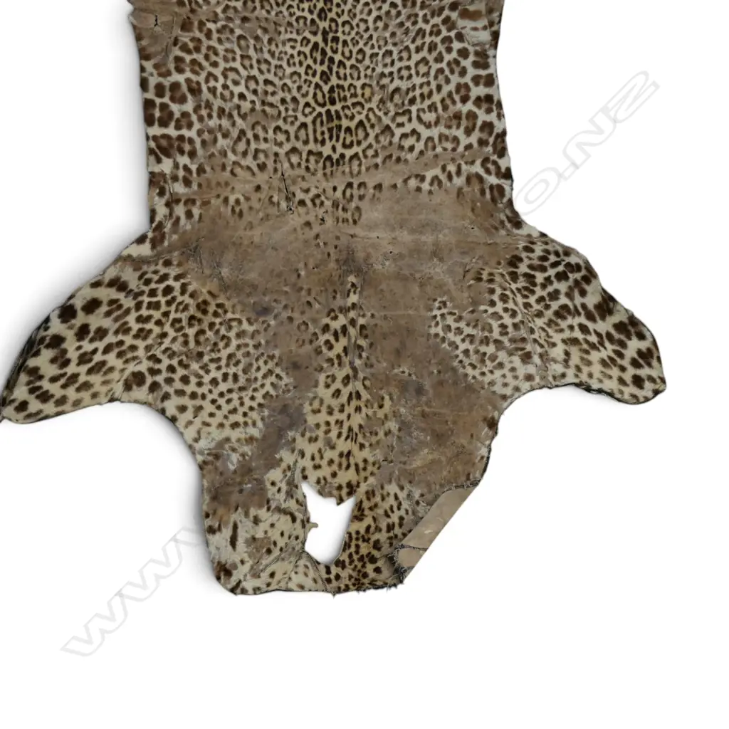 CHEETAH HIDE RUG, FAULTS L.2120mm Image 1++