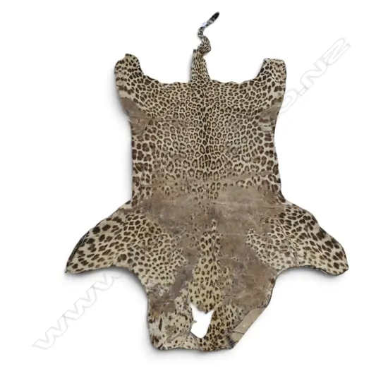CHEETAH HIDE RUG, FAULTS L.2120mm
