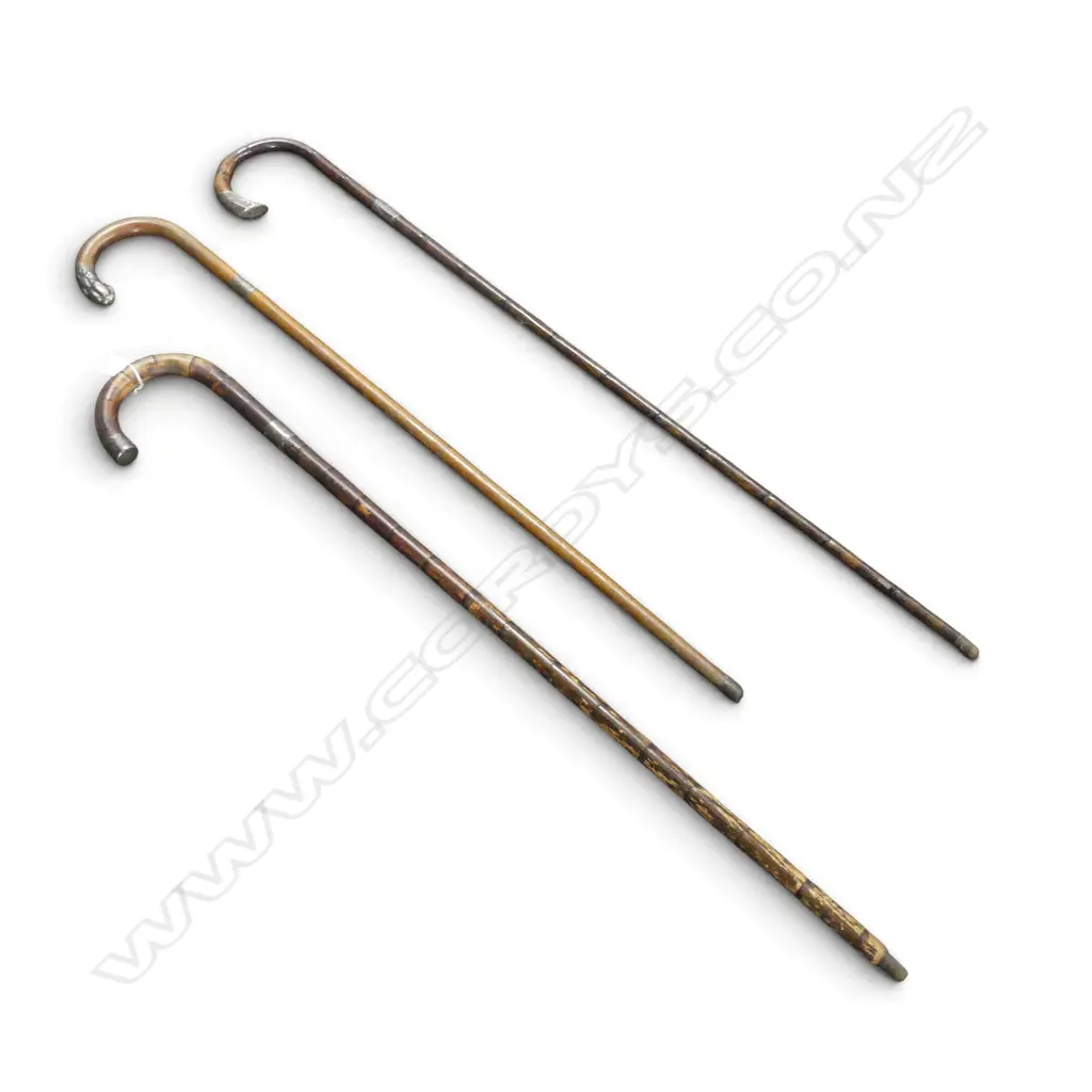 3 VINTAGE SILVER MOUNTED WALKING STICKS: Malacca cane etc  Image 1++