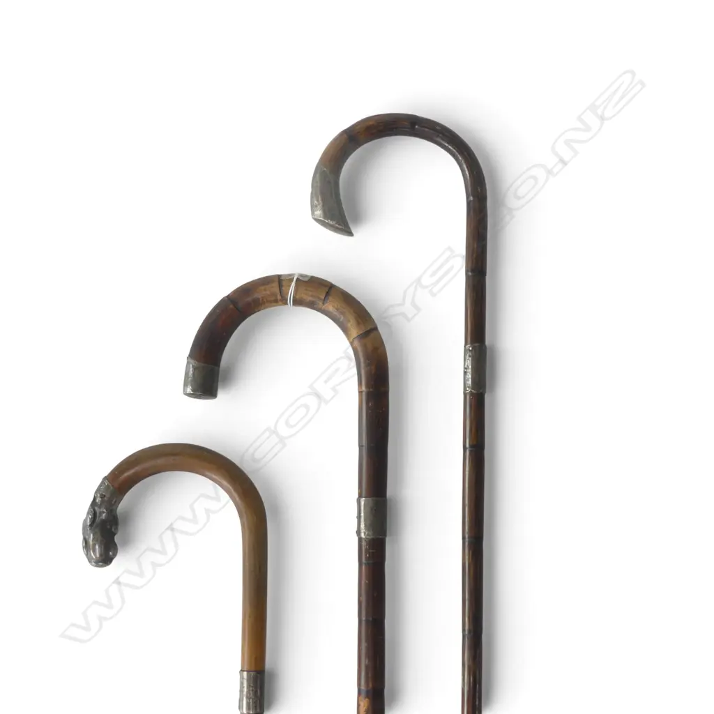 3 VINTAGE SILVER MOUNTED WALKING STICKS: Malacca cane etc  Image 1++